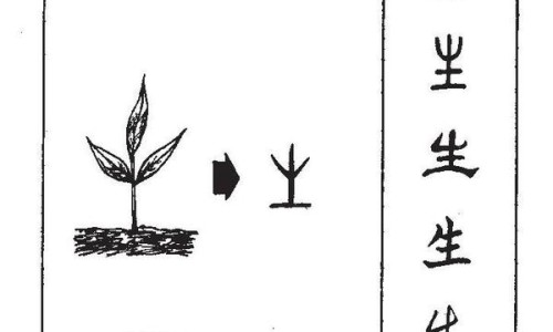 口含大蒜的功效与作用-专业口含大蒜的注意事项平台-口含大蒜有什么作用